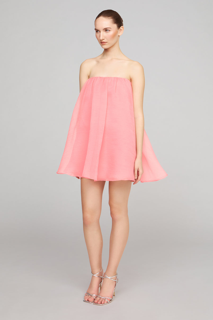 Charlie Textured Organza Mini Dress