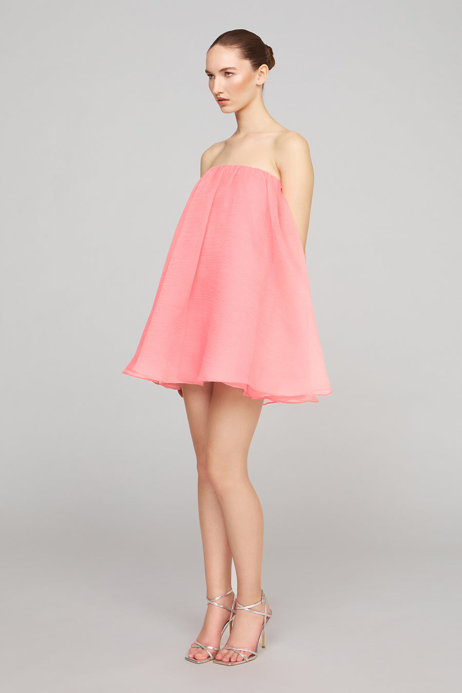 Charlie Textured Organza Mini Dress