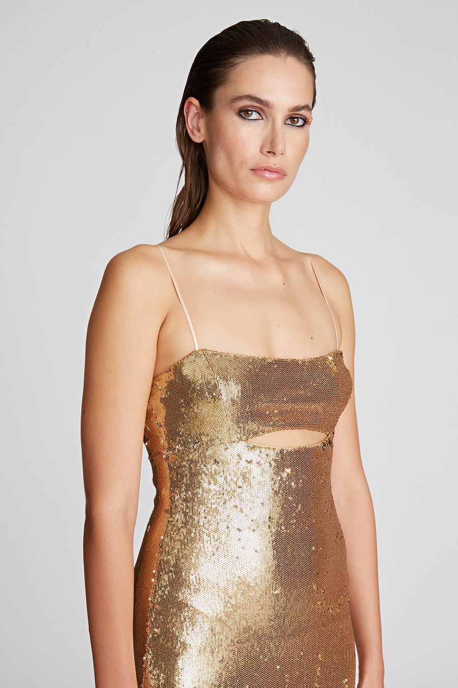 Ray Dress In Sequins